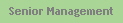 Senior Management
